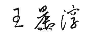 駱恆光王晨淳草書個性簽名怎么寫