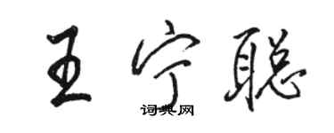 駱恆光王寧聰行書個性簽名怎么寫