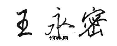 駱恆光王永密行書個性簽名怎么寫