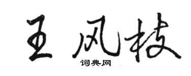 駱恆光王風枝行書個性簽名怎么寫
