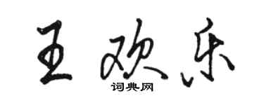 駱恆光王歡樂行書個性簽名怎么寫