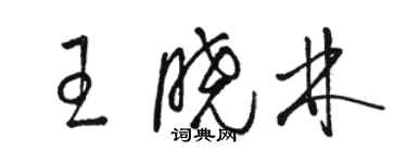 駱恆光王曉林草書個性簽名怎么寫