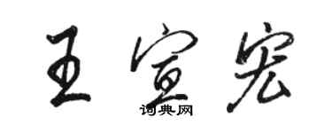 駱恆光王宣宏行書個性簽名怎么寫