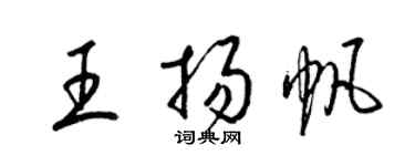 梁錦英王揚帆草書個性簽名怎么寫