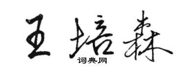 駱恆光王培森行書個性簽名怎么寫