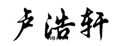 胡問遂盧浩軒行書個性簽名怎么寫