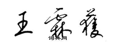 梁錦英王霖獲草書個性簽名怎么寫