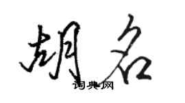 駱恆光胡名行書個性簽名怎么寫