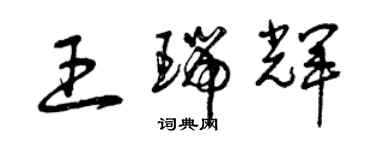 曾慶福王瑞輝草書個性簽名怎么寫