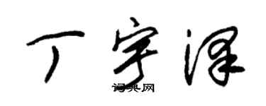 朱錫榮丁宇澤草書個性簽名怎么寫