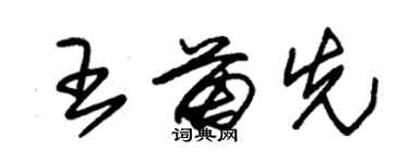 朱錫榮王苗先草書個性簽名怎么寫