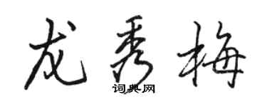 駱恆光龍秀梅行書個性簽名怎么寫