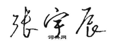 駱恆光張宇辰草書個性簽名怎么寫