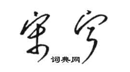 駱恆光宋寧草書個性簽名怎么寫