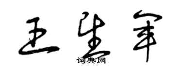 曾慶福王望軍草書個性簽名怎么寫