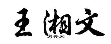 胡問遂王湘文行書個性簽名怎么寫