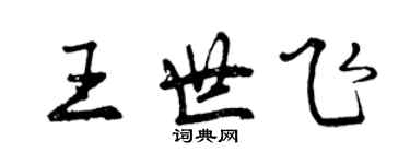 曾慶福王世飛行書個性簽名怎么寫