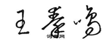 駱恆光王秦鳴草書個性簽名怎么寫