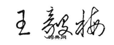 駱恆光王毅梅草書個性簽名怎么寫