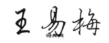 駱恆光王易梅行書個性簽名怎么寫