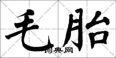 翁闓運毛胎楷書怎么寫