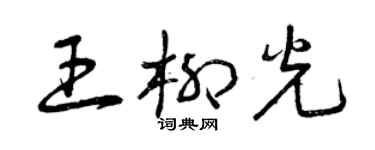 曾慶福王柳光草書個性簽名怎么寫