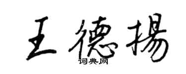 王正良王德揚行書個性簽名怎么寫