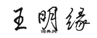 駱恆光王明緣行書個性簽名怎么寫