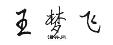 駱恆光王夢飛行書個性簽名怎么寫