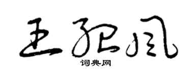 曾慶福王紀風草書個性簽名怎么寫