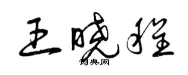 曾慶福王曉程草書個性簽名怎么寫