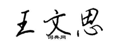 王正良王文思行書個性簽名怎么寫