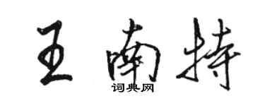 駱恆光王南特行書個性簽名怎么寫