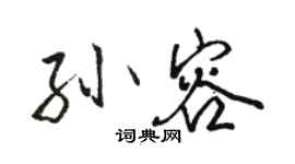 駱恆光孫容行書個性簽名怎么寫