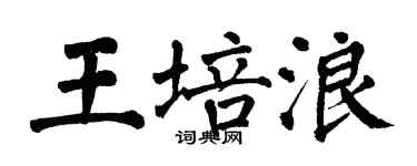 翁闓運王培浪楷書個性簽名怎么寫