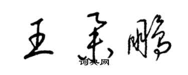 梁錦英王舉鵬草書個性簽名怎么寫