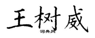 丁謙王樹威楷書個性簽名怎么寫