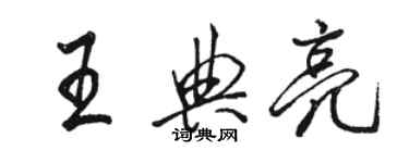 駱恆光王典亮行書個性簽名怎么寫