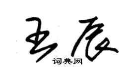 朱錫榮王辰草書個性簽名怎么寫