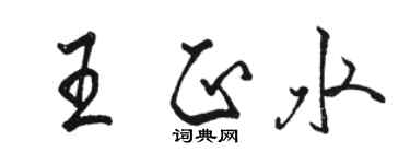 駱恆光王正水行書個性簽名怎么寫