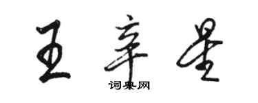 駱恆光王辛星行書個性簽名怎么寫