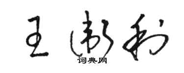 駱恆光王衛利草書個性簽名怎么寫