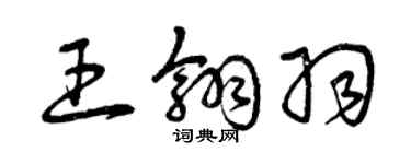 曾慶福王翎羽草書個性簽名怎么寫