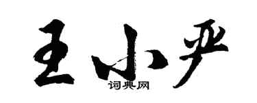 胡問遂王小嚴行書個性簽名怎么寫