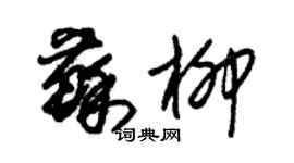 朱錫榮蘇柳草書個性簽名怎么寫