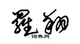 朱錫榮羅翔草書個性簽名怎么寫
