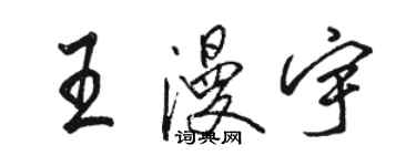 駱恆光王漫宇行書個性簽名怎么寫