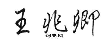 駱恆光王兆卿行書個性簽名怎么寫