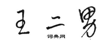 駱恆光王二男草書個性簽名怎么寫