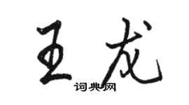 駱恆光王龍行書個性簽名怎么寫